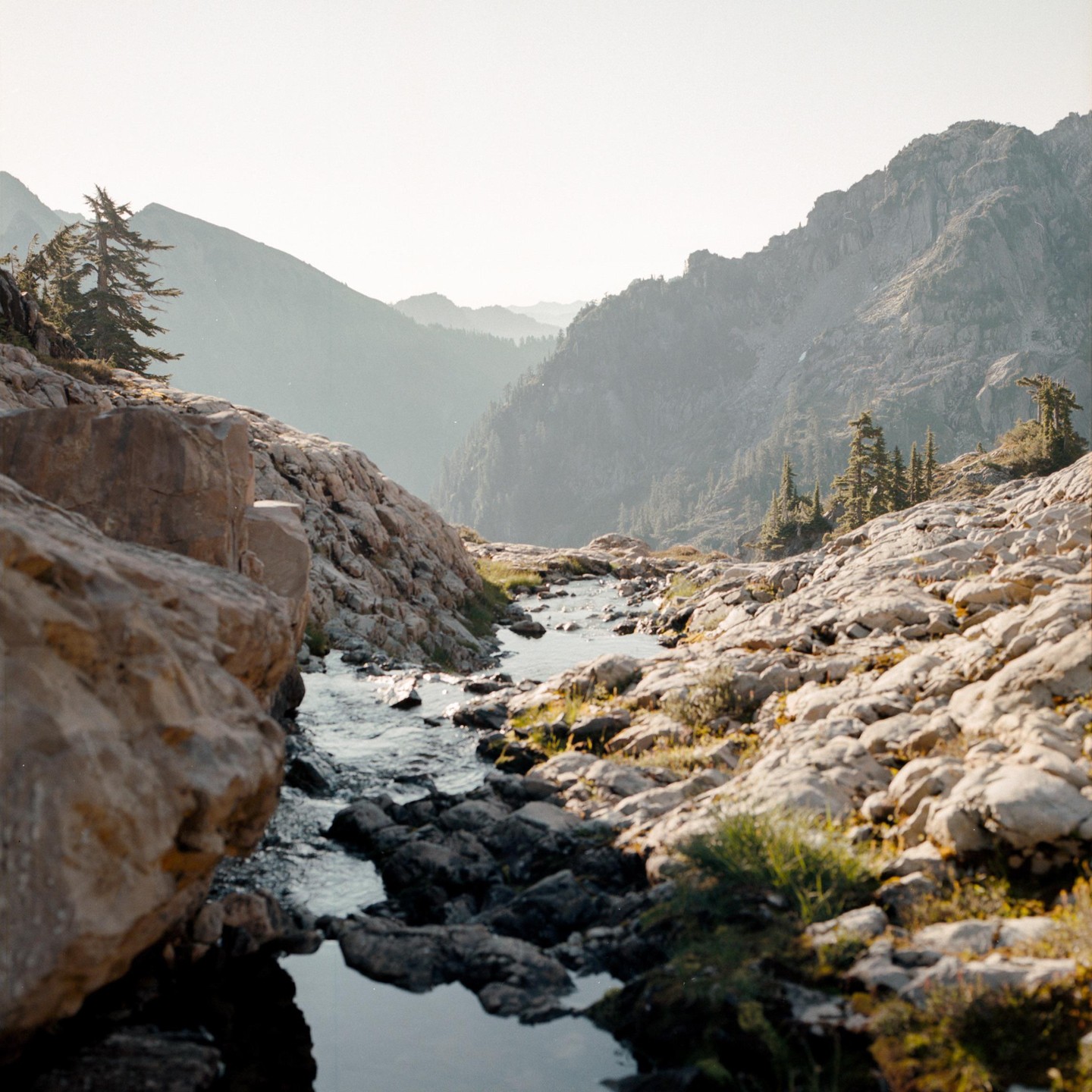A stream flows through a rocky mountain landscape with distant hazy peaks and scattered pine trees.