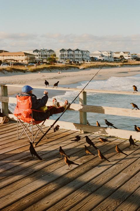 A person sits in a red chair on a wooden pier, fishing with a rod while many birds gather around them.
