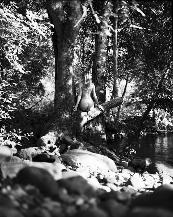A woman sits naked on a tree branch overlooking a river.