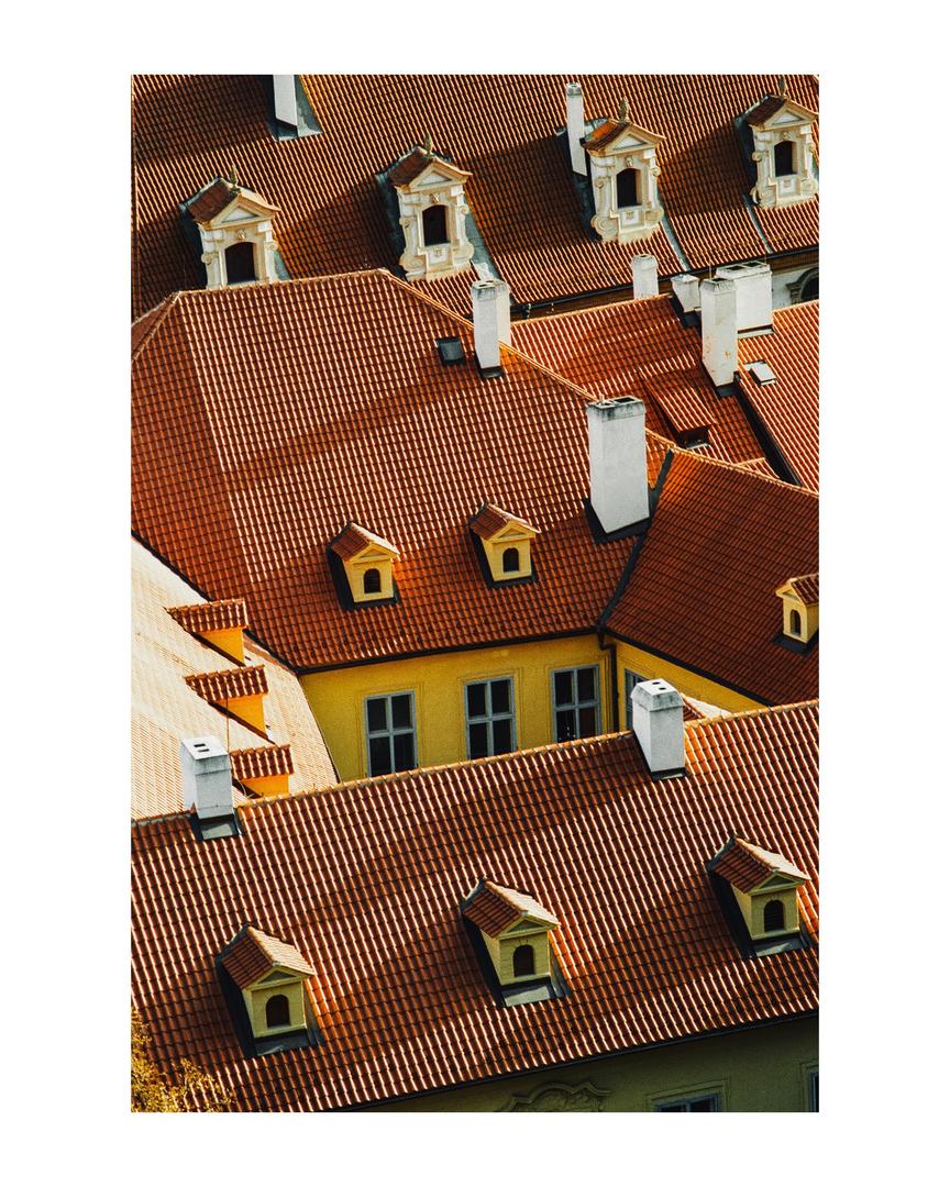 rooftops | canon a1 | fujicolor c200, shot on FUJIFILM FUJICOLOR C200