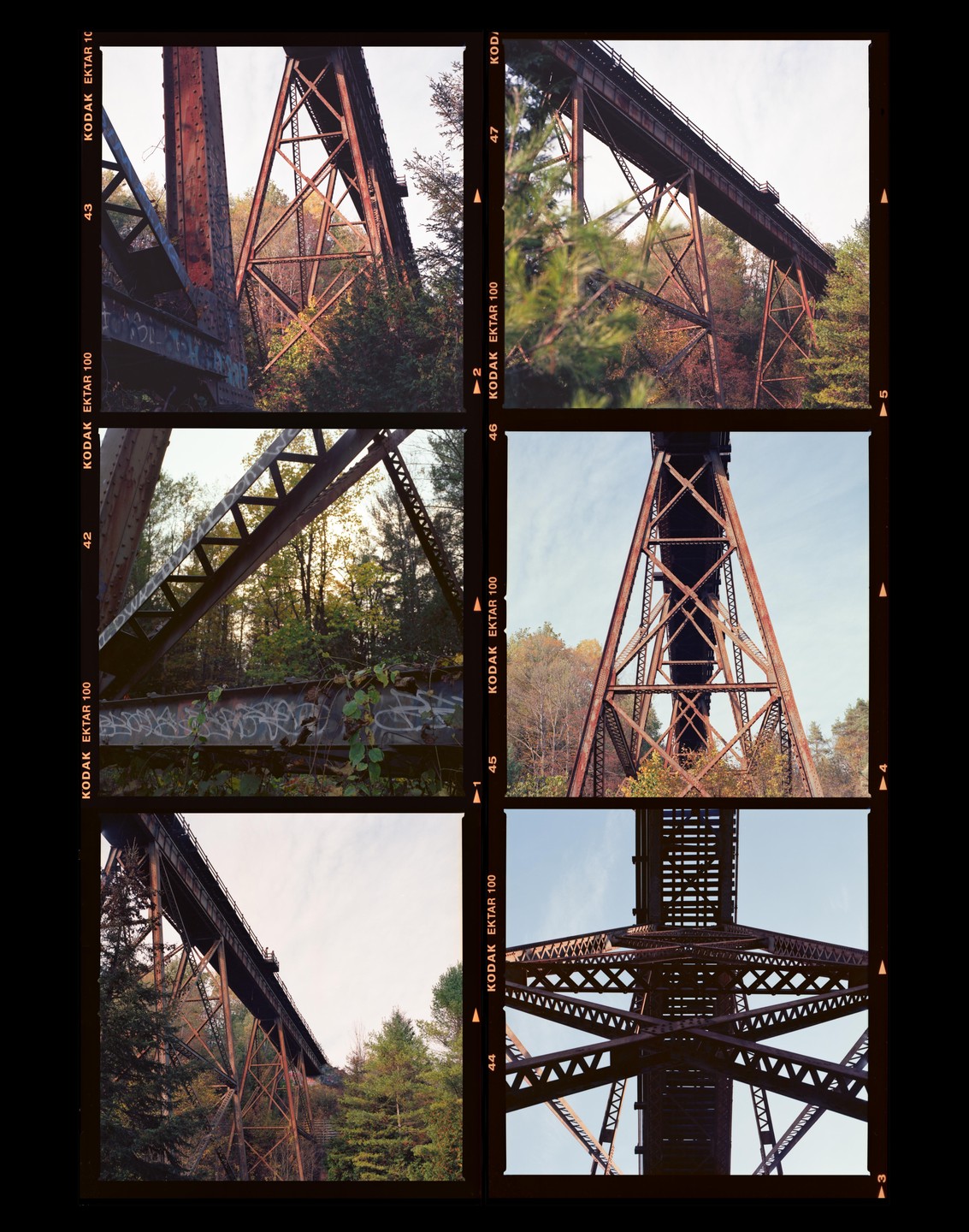 A contact sheet displays six photographs of a large, rusty metal bridge structure surrounded by trees.