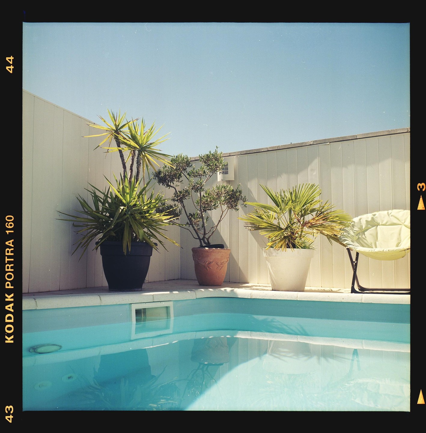 Three potted plants and a chair are arranged next to a swimming pool with a white fence in the background.