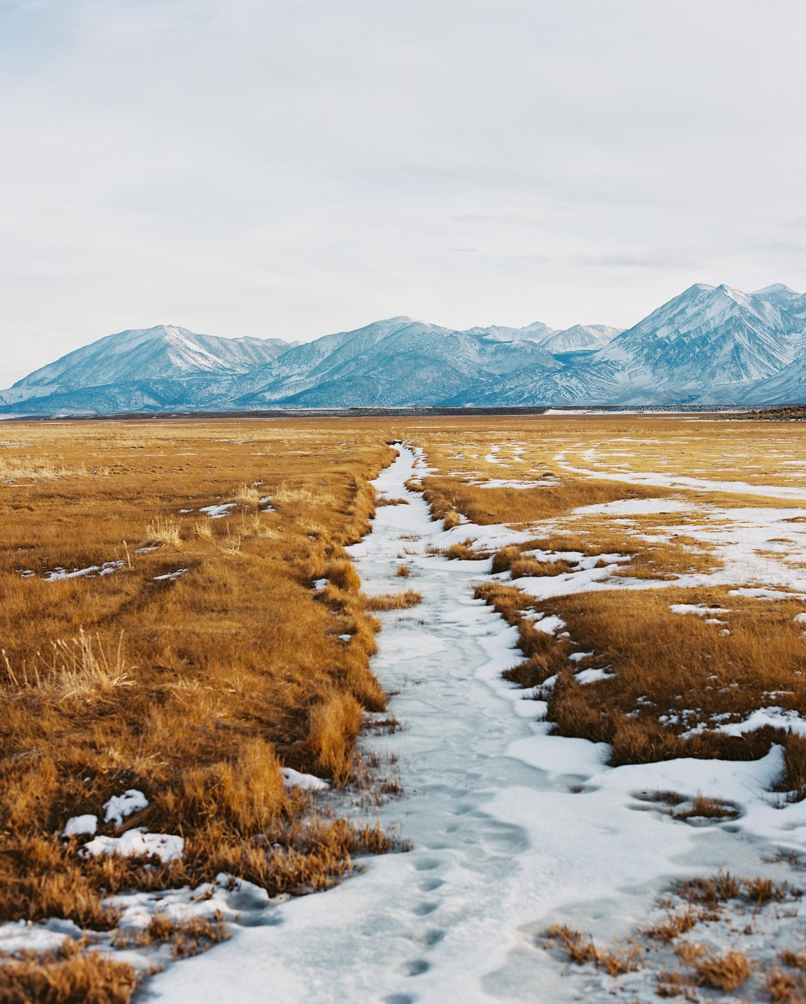 A frozen stream winds through a field of golden grass with snow-capped mountains in the distance.