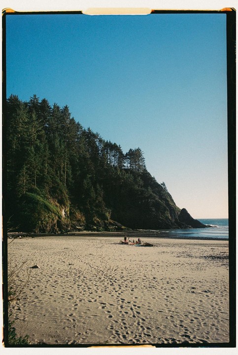 A group of people are gathered on a sandy beach with a forest-covered cliff rising behind them and the ocean to their right.