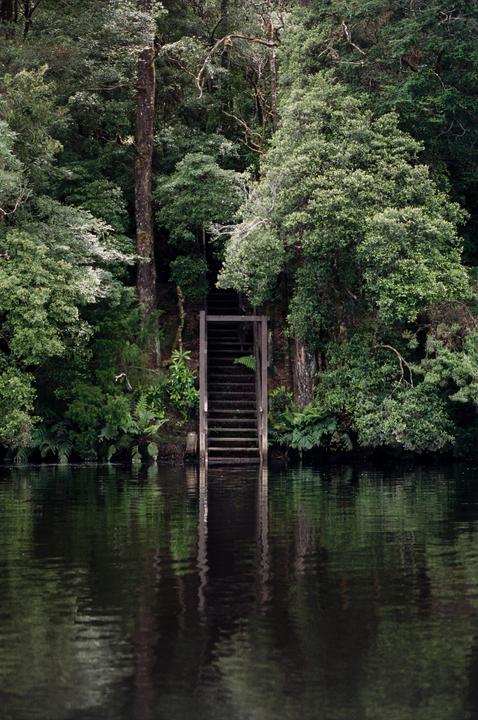 A wooden staircase descends into dark water from a lush, green forest.