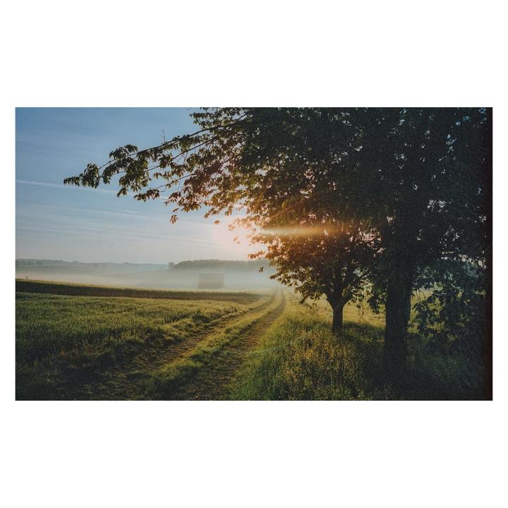 The sun rises over a misty field with a dirt path leading into the distance, framed by trees on the right.