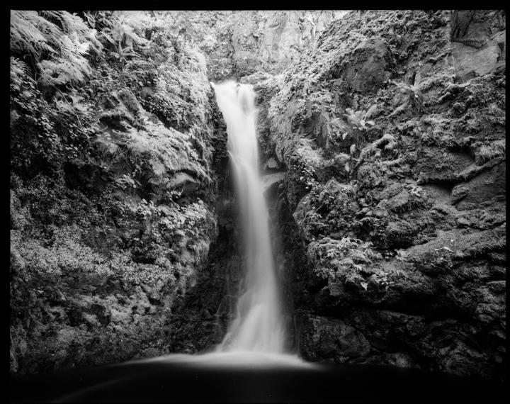 A waterfall cascades into a pool surrounded by rocky, moss-covered cliffs and lush foliage.