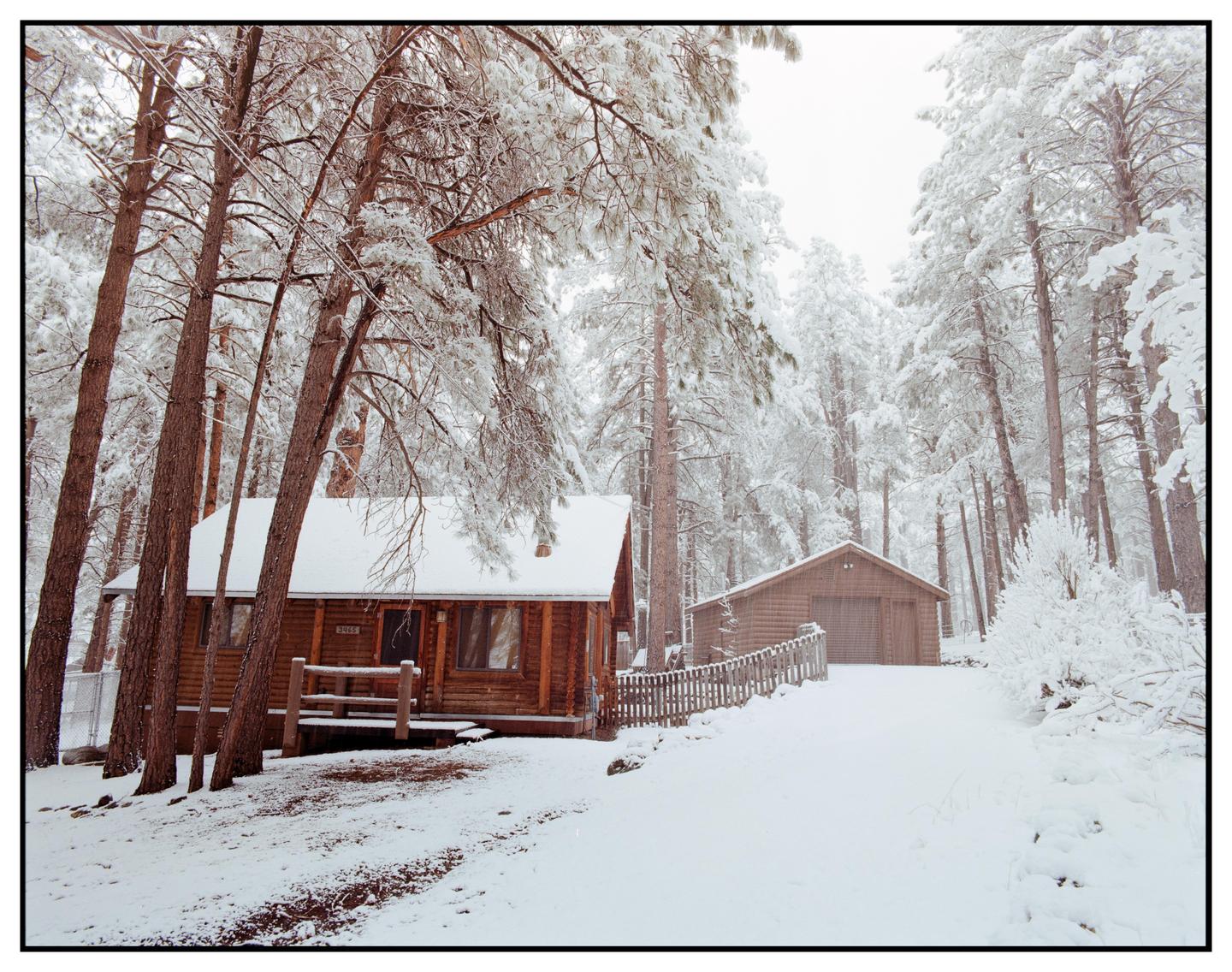 A wooden cabin and a garage are nestled among snow-covered pine trees.