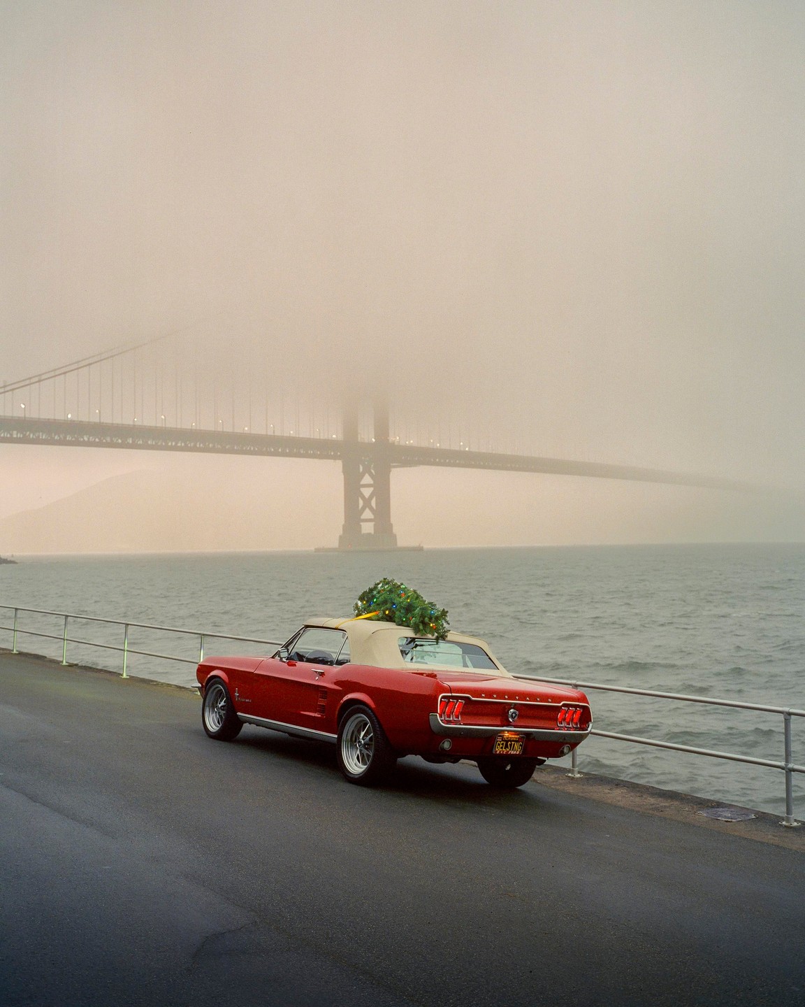 A red convertible with a Christmas tree on its roof is parked next to a body of water with a bridge in the foggy background.