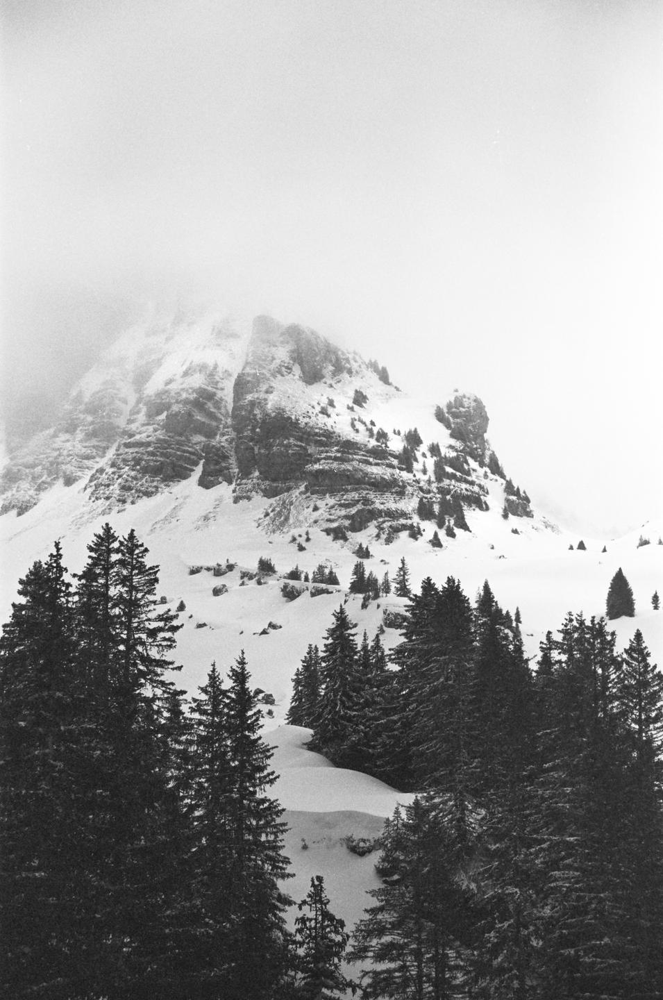 A snow-covered mountain peak is partially obscured by fog, with evergreen trees in the foreground.