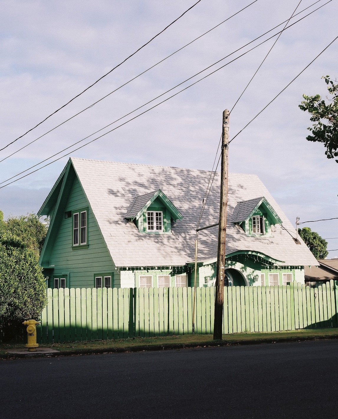 A green house with a white roof and a green picket fence stands behind a telephone pole and a fire hydrant.