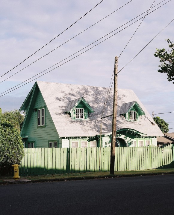 A green house with a white roof and a green picket fence stands behind a telephone pole and a fire hydrant.