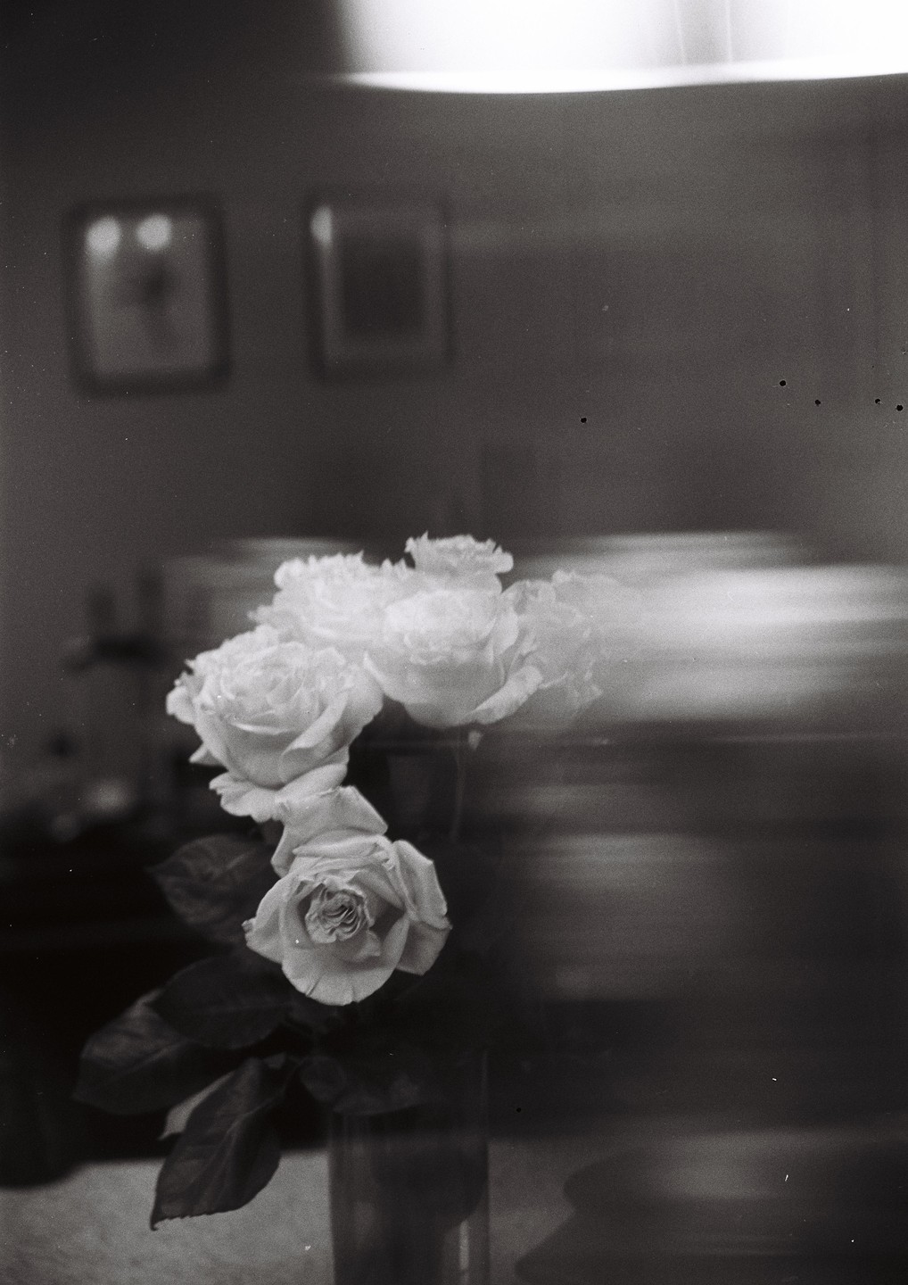 A bouquet of roses sits in a vase on a table with a blurred background.