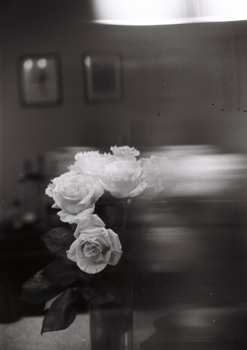 A bouquet of roses sits in a vase on a table with a blurred background.