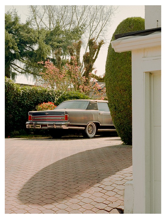 A vintage car is parked on a paved driveway next to a tall hedge and a white building.