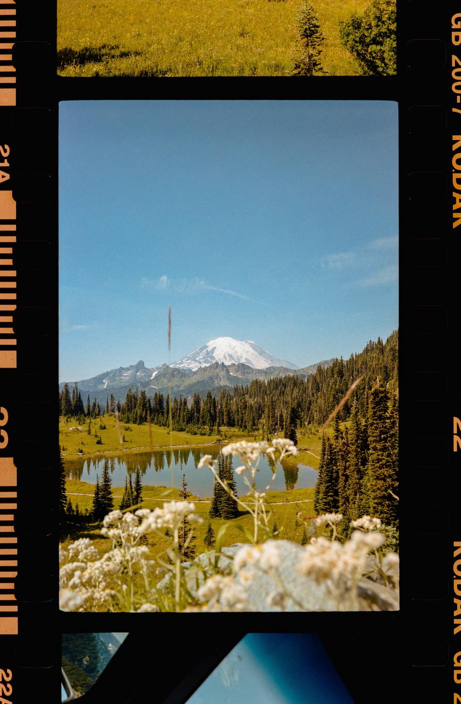 A snow-capped mountain rises above a lake surrounded by evergreen trees and wildflowers.