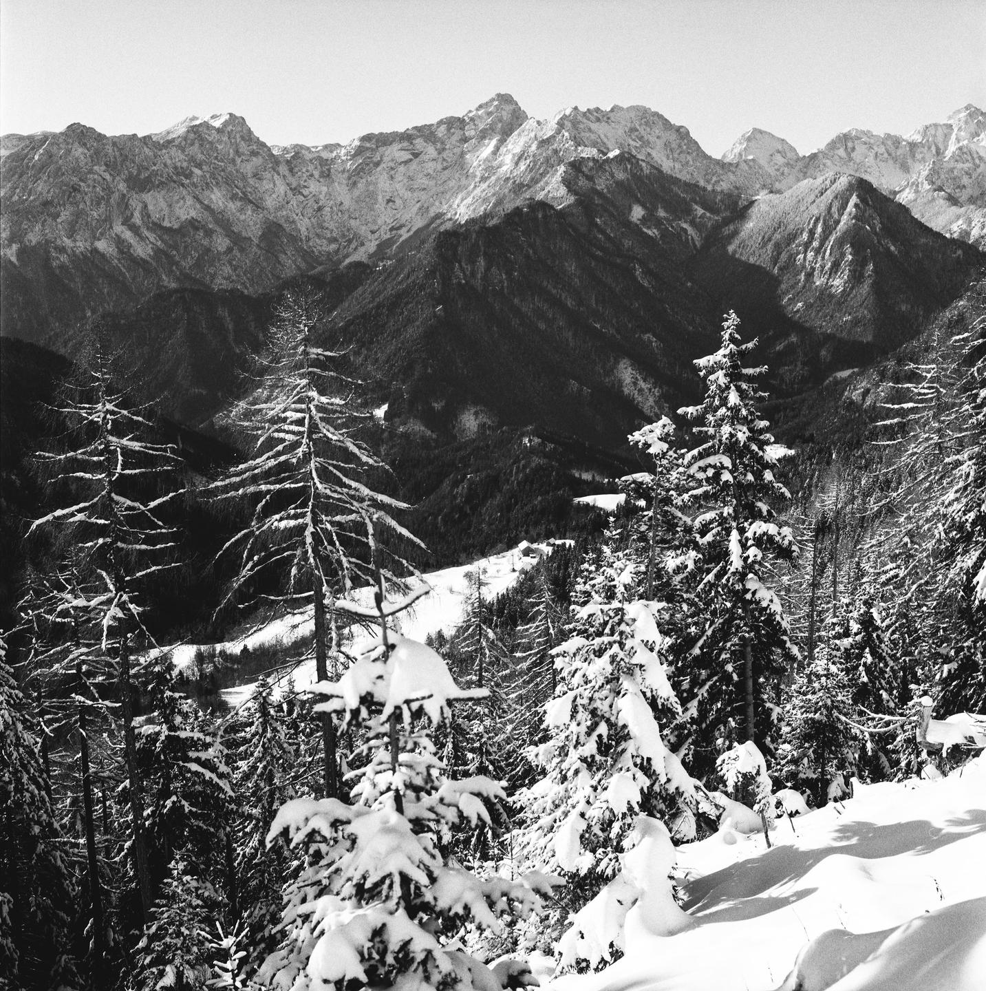 A snowy mountain landscape features snow-covered trees in the foreground and a range of peaks in the distance.
