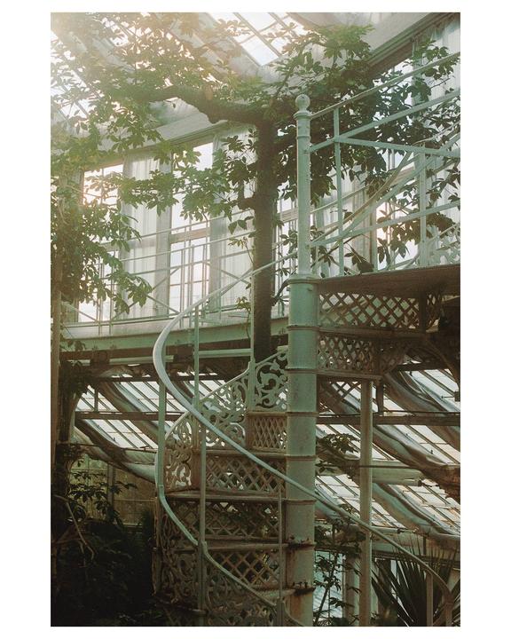 A white spiral staircase is surrounded by lush green foliage inside a greenhouse.