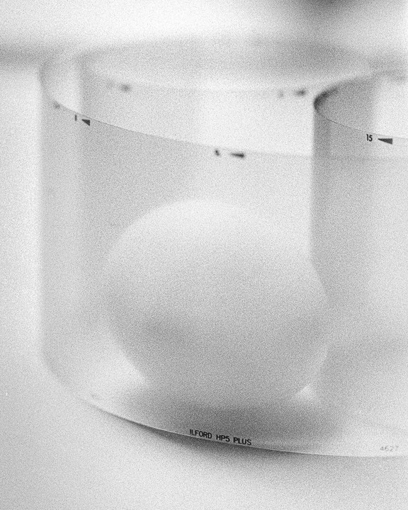 A white egg is visible through a curved strip of film.
