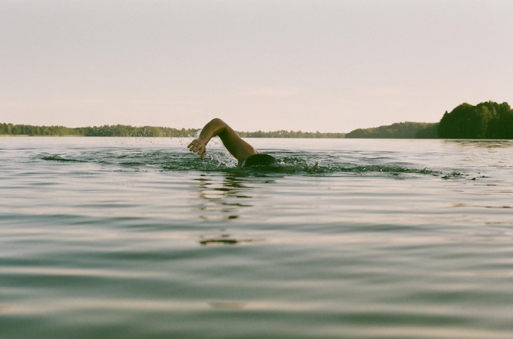 A person swims in a lake with trees on the distant shore.