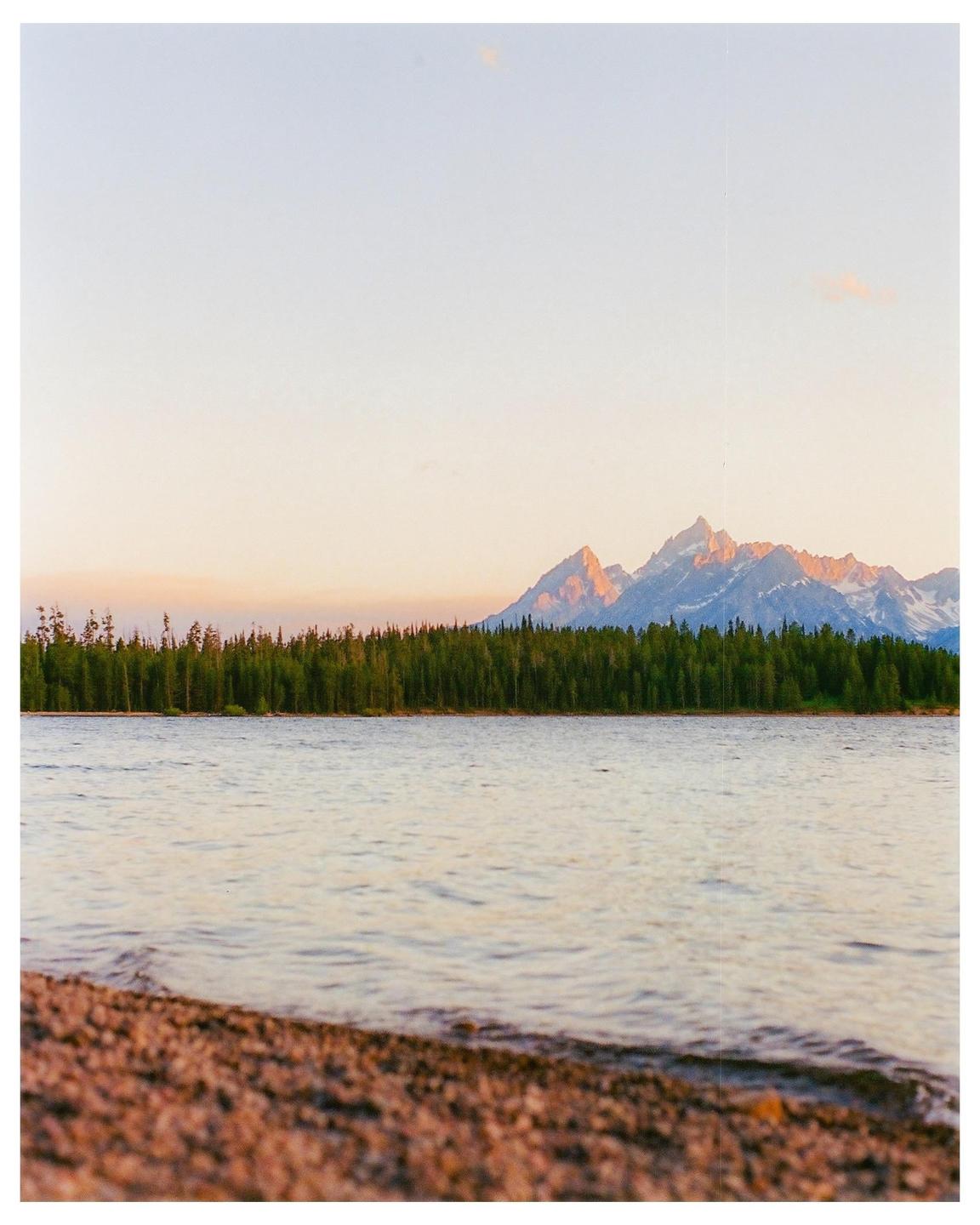 A lake with a rocky shore is in the foreground, with a line of evergreen trees and snow-capped mountains in the distance under a pale sky.