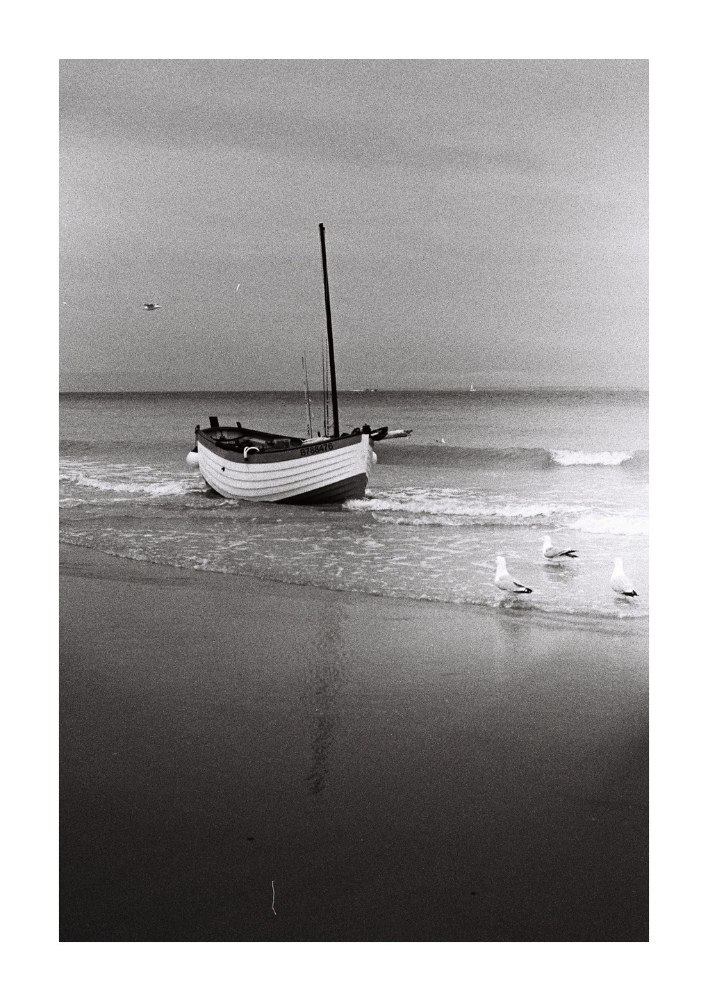 A small boat is beached on the sand with three seagulls standing in the shallow water next to it.