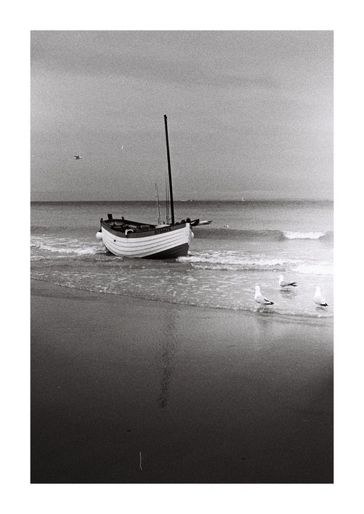 A small boat is beached on the sand with three seagulls standing in the shallow water next to it.