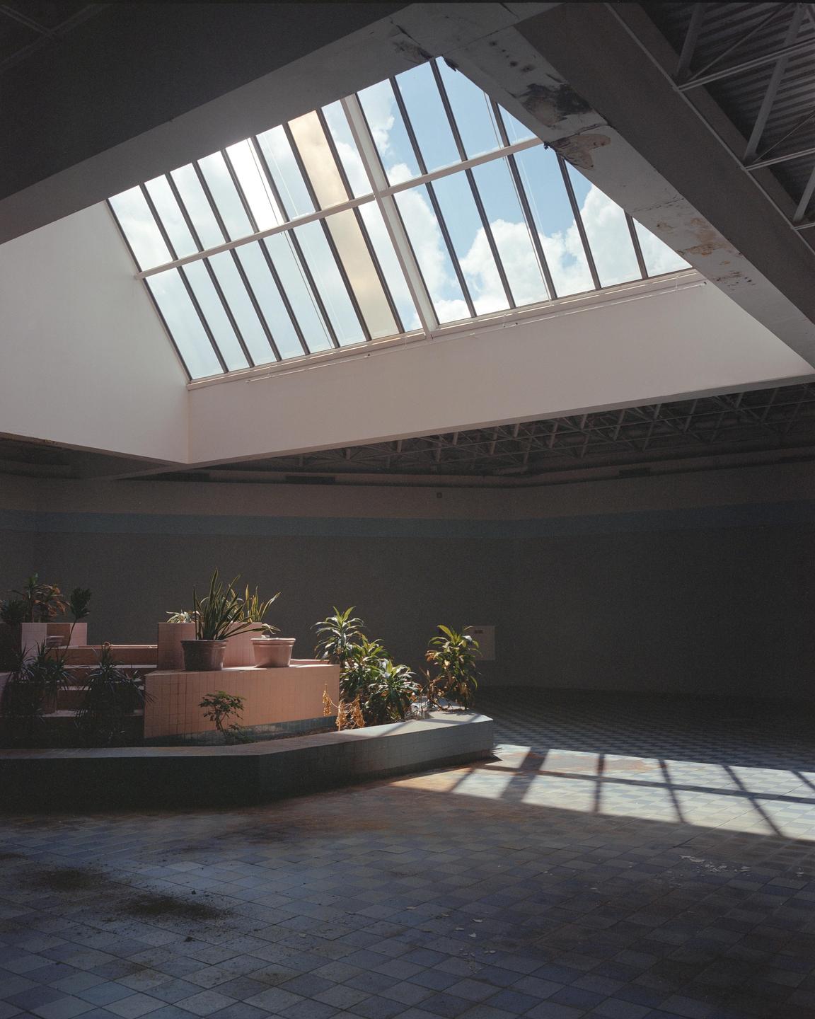 Sunlight streams through a large skylight onto the tiled floor of an abandoned mall with planters.