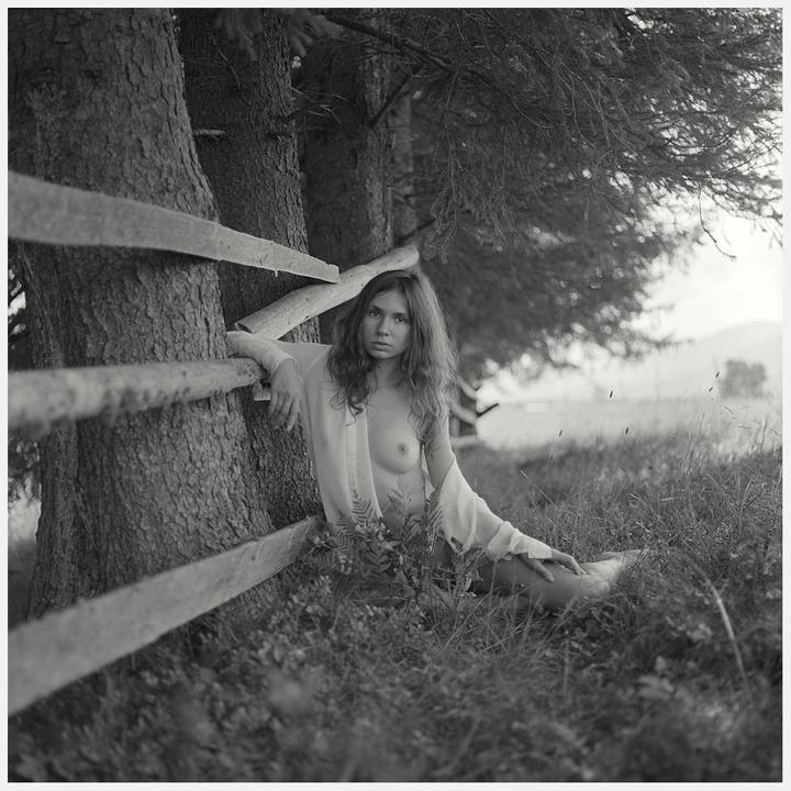 A woman with long hair sits in tall grass next to a wooden fence and a tree.