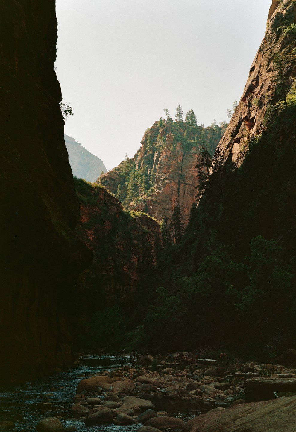 A river flows through a canyon with steep, rocky walls and green trees under a bright sky.