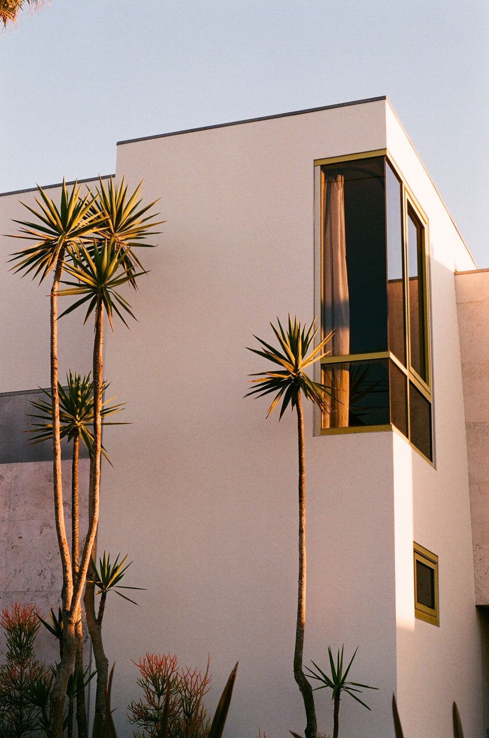 Palm trees stand in front of a modern white building with a large corner window.