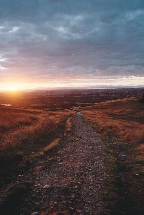 A dirt path leads through a field of tall grass towards a sunset over a distant landscape.