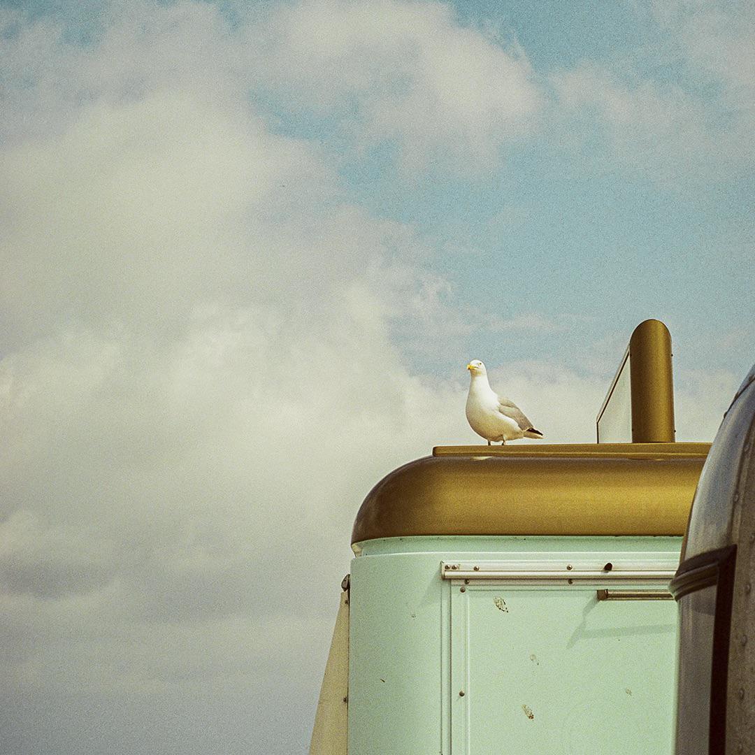 A seagull stands on the roof of a light blue and gold vehicle under a cloudy sky.