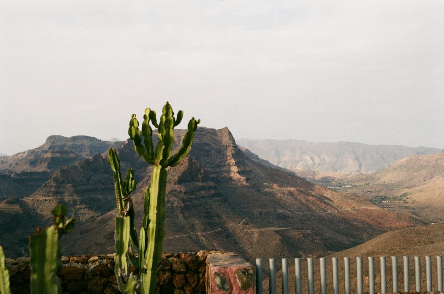 A cactus stands in the foreground with a vast mountainous landscape stretching into the distance under a bright sky.