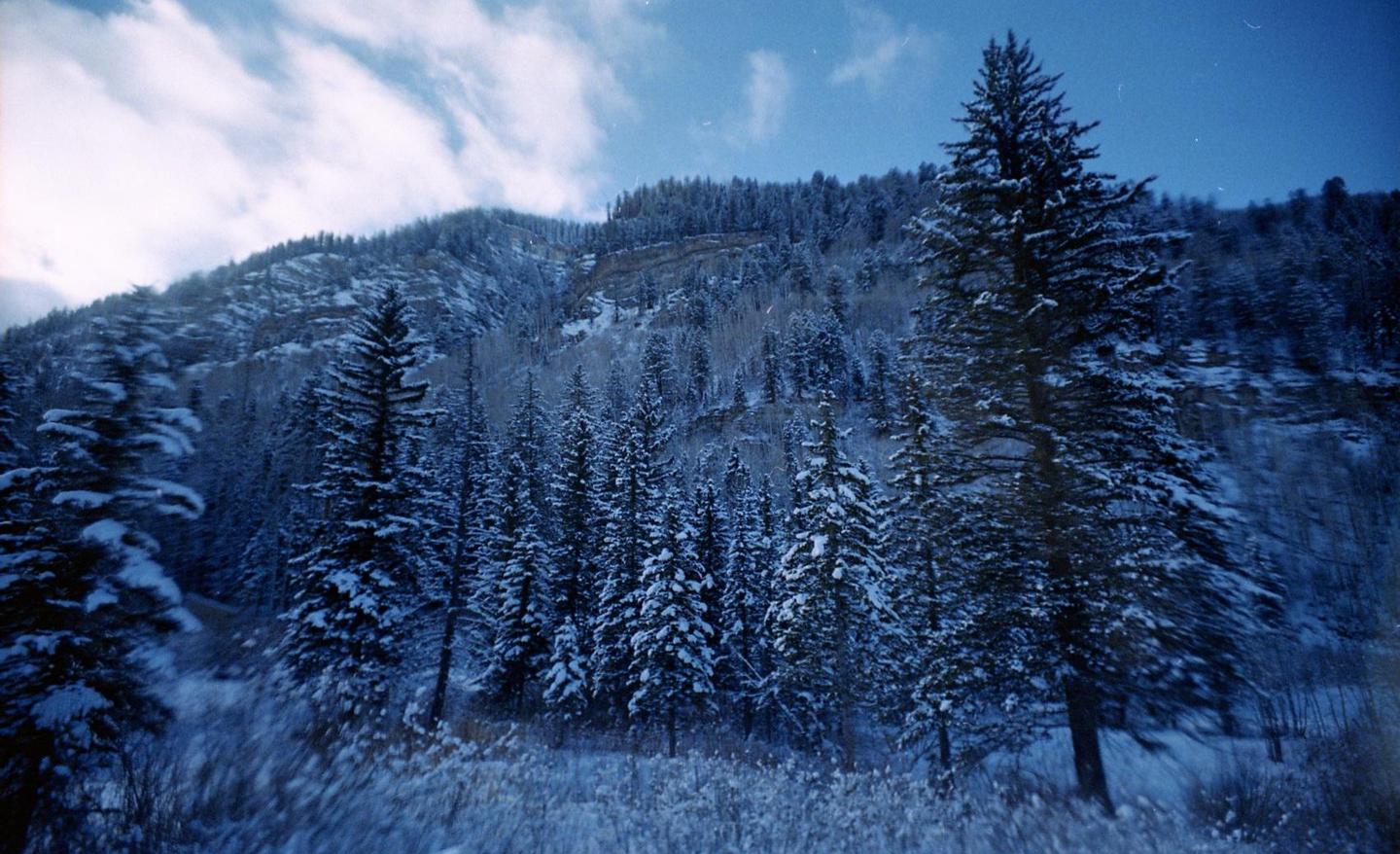 A snow-covered mountain with numerous pine trees is visible under a cloudy sky.
