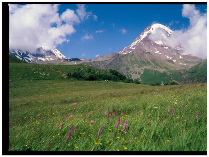 A vast green meadow with wildflowers leads to snow-capped mountains under a blue sky with clouds.