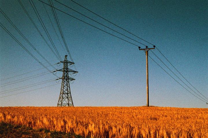 A power line tower and a utility pole stand in a field of golden wheat under a clear blue sky.