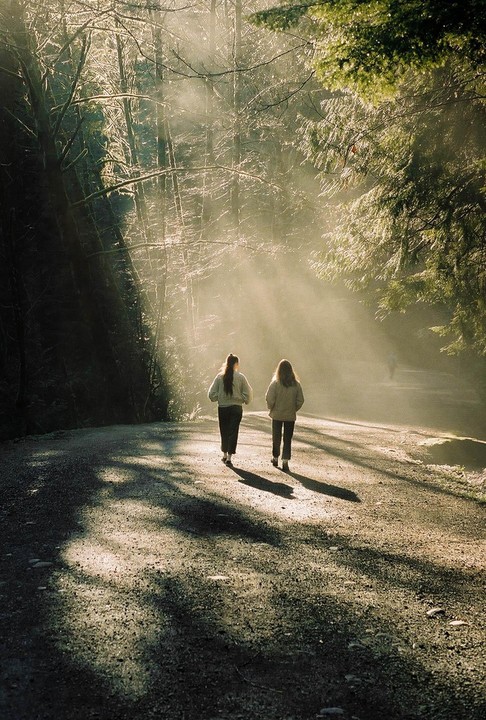 Two women walk away from the viewer on a path through a forest with sunbeams shining through the trees.