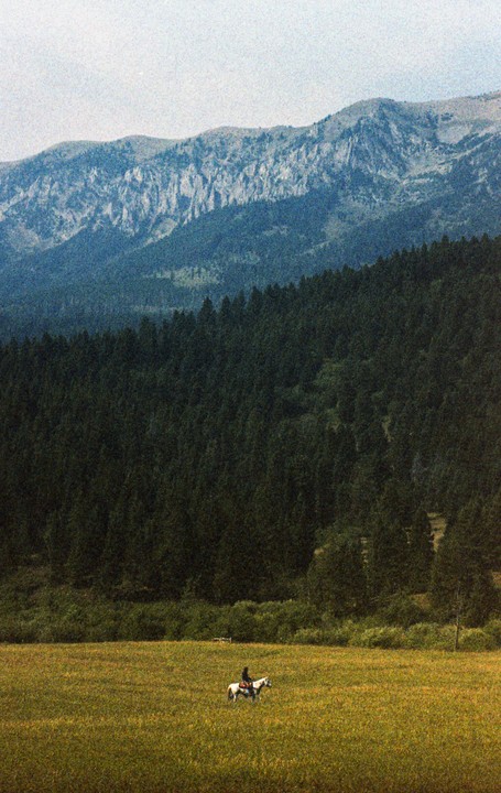 A person rides a white horse across a grassy field with a dense forest and mountains in the background.