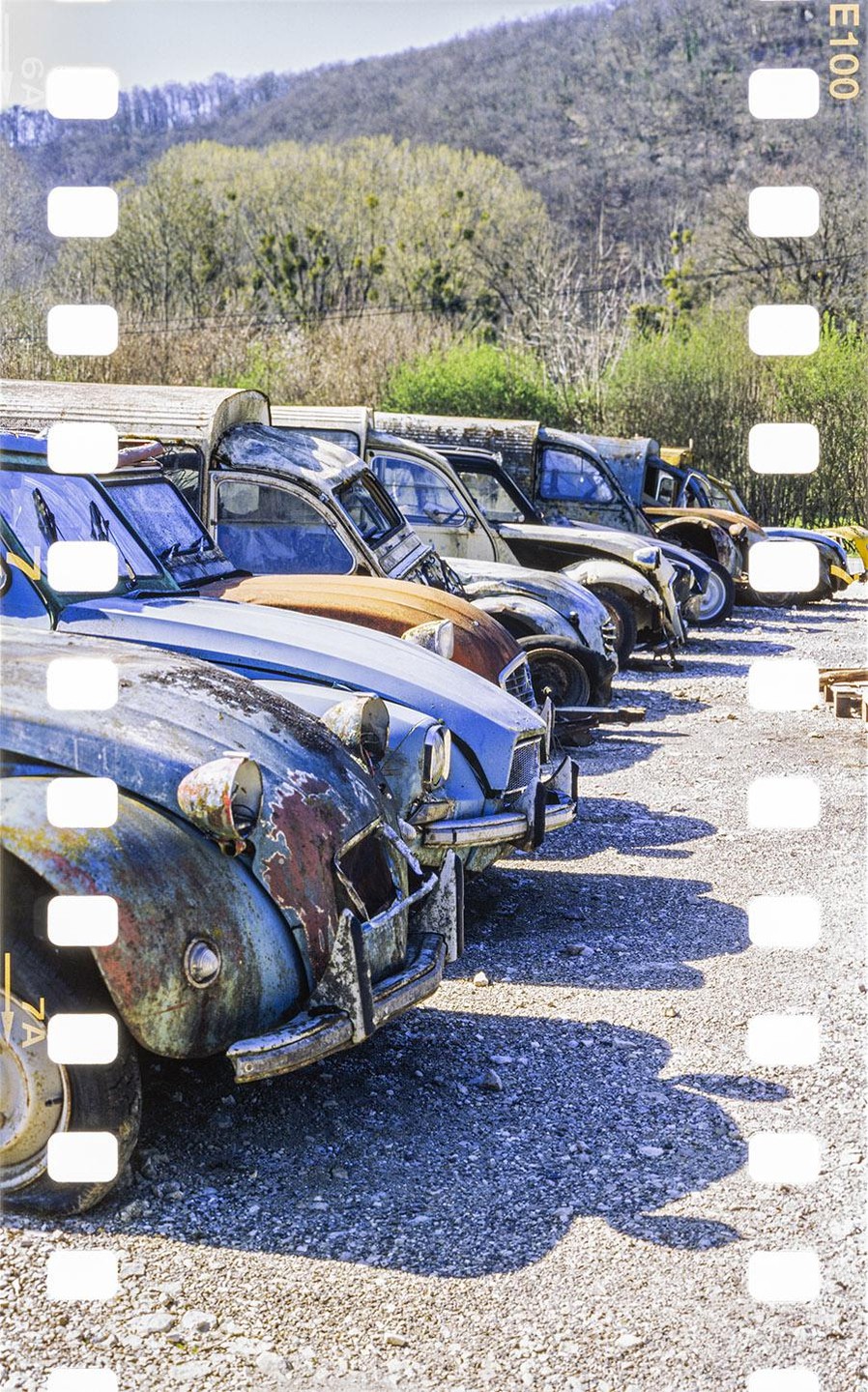 A line of old, rusty cars is parked on a gravel lot with a tree-covered hill in the background.