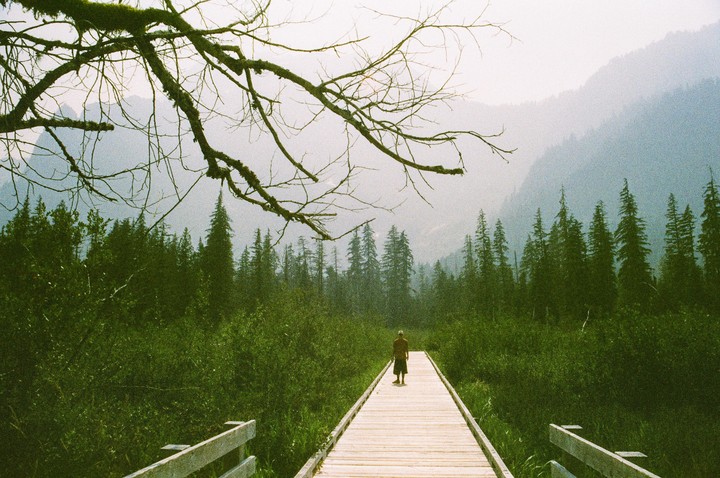 A man stands on a wooden boardwalk surrounded by lush green foliage and tall trees, with mountains in the hazy background.