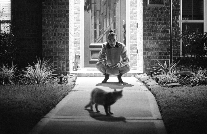 A man crouches on a porch while a cat walks on the sidewalk in front of him at night.