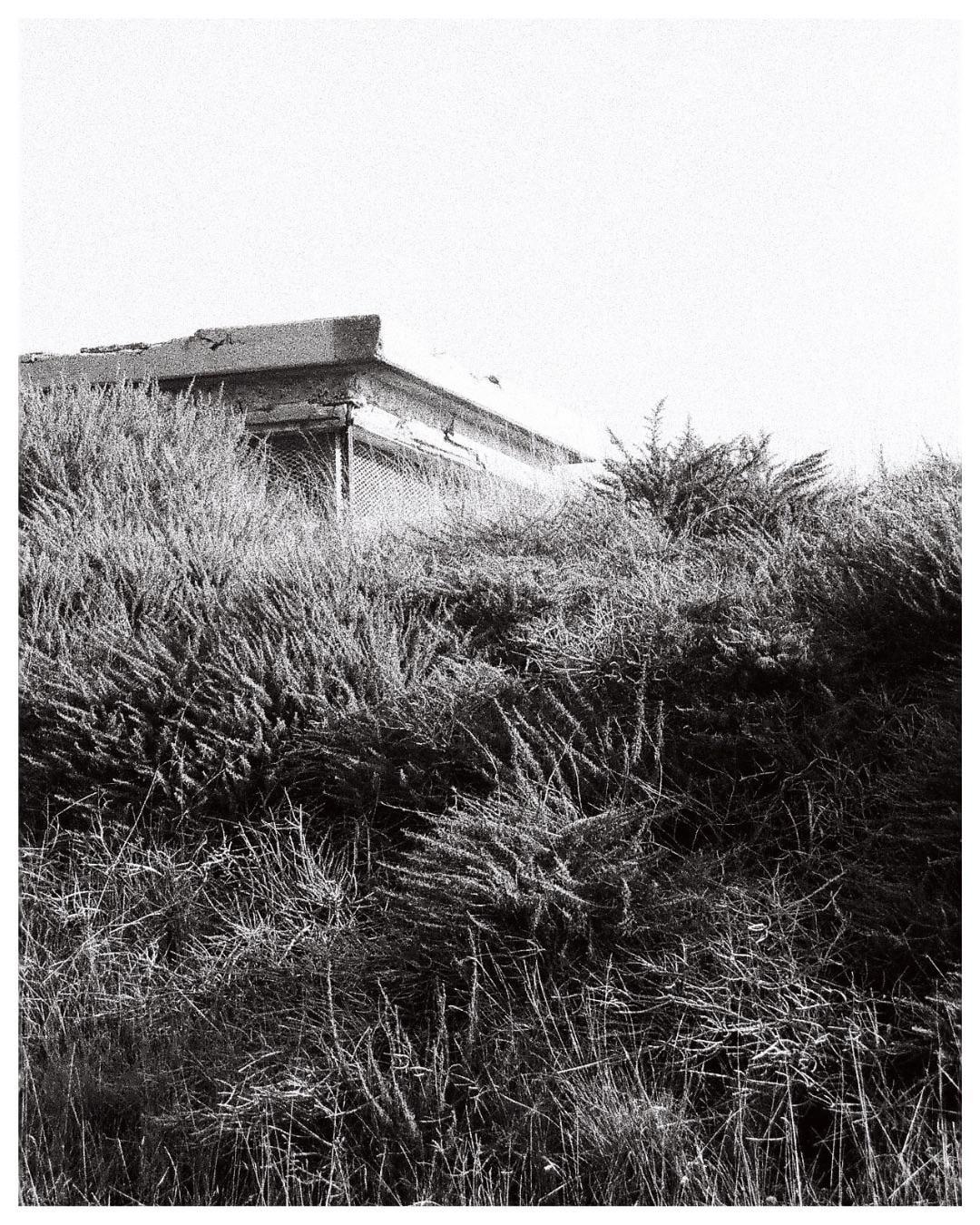 An abandoned bunker is partially obscured by overgrown vegetation.