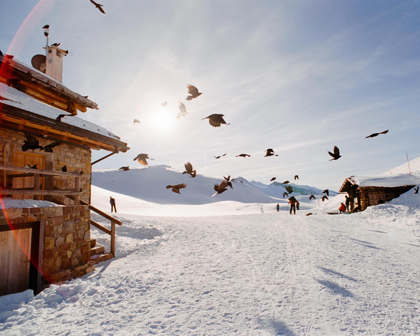 A flock of birds flies over a snow-covered mountain landscape with two cabins and several people.