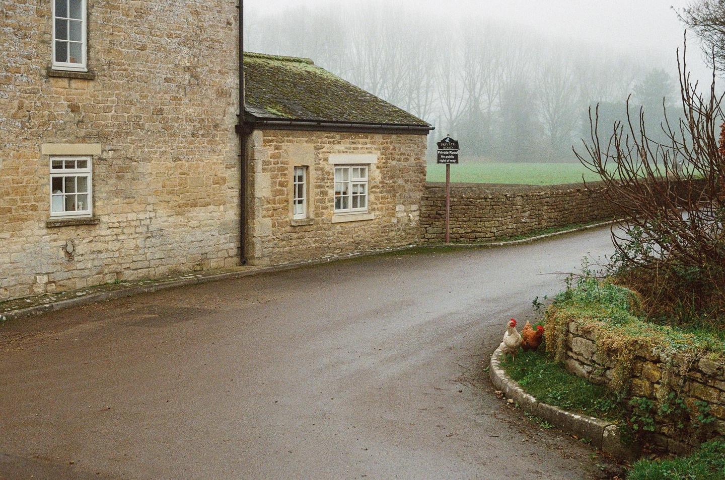 Two chickens stand on a grassy verge next to a stone wall and a road, with stone buildings and a hazy field in the background.