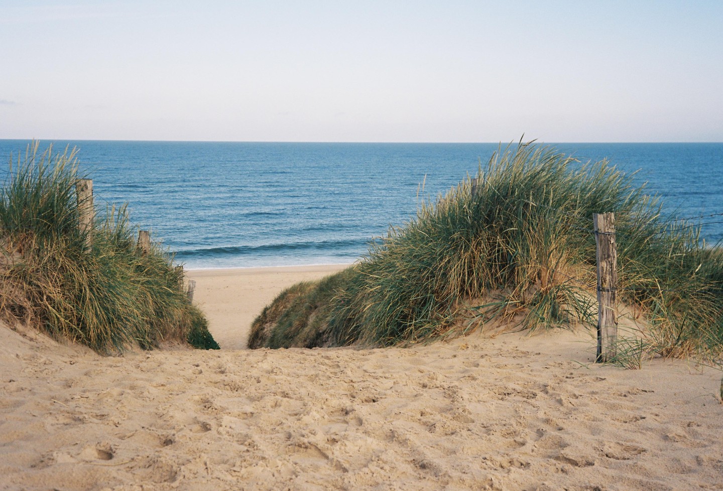 A sandy path leads through grassy dunes to a beach and the ocean.