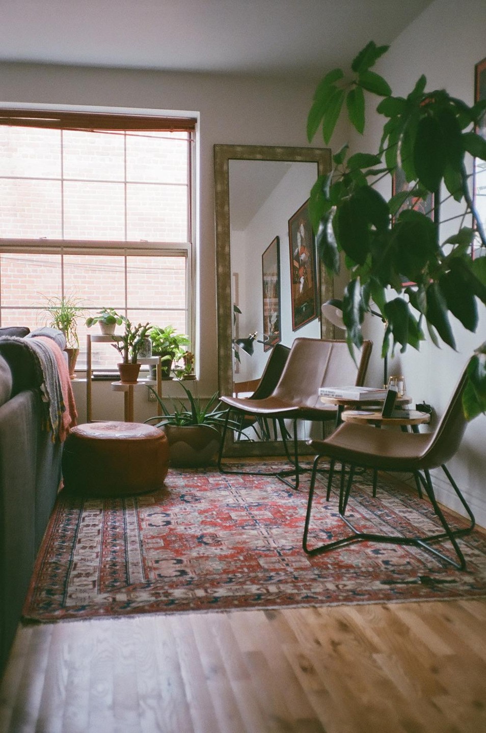 A living room features a large window, several plants, a patterned rug, a leather ottoman, and two modern chairs.