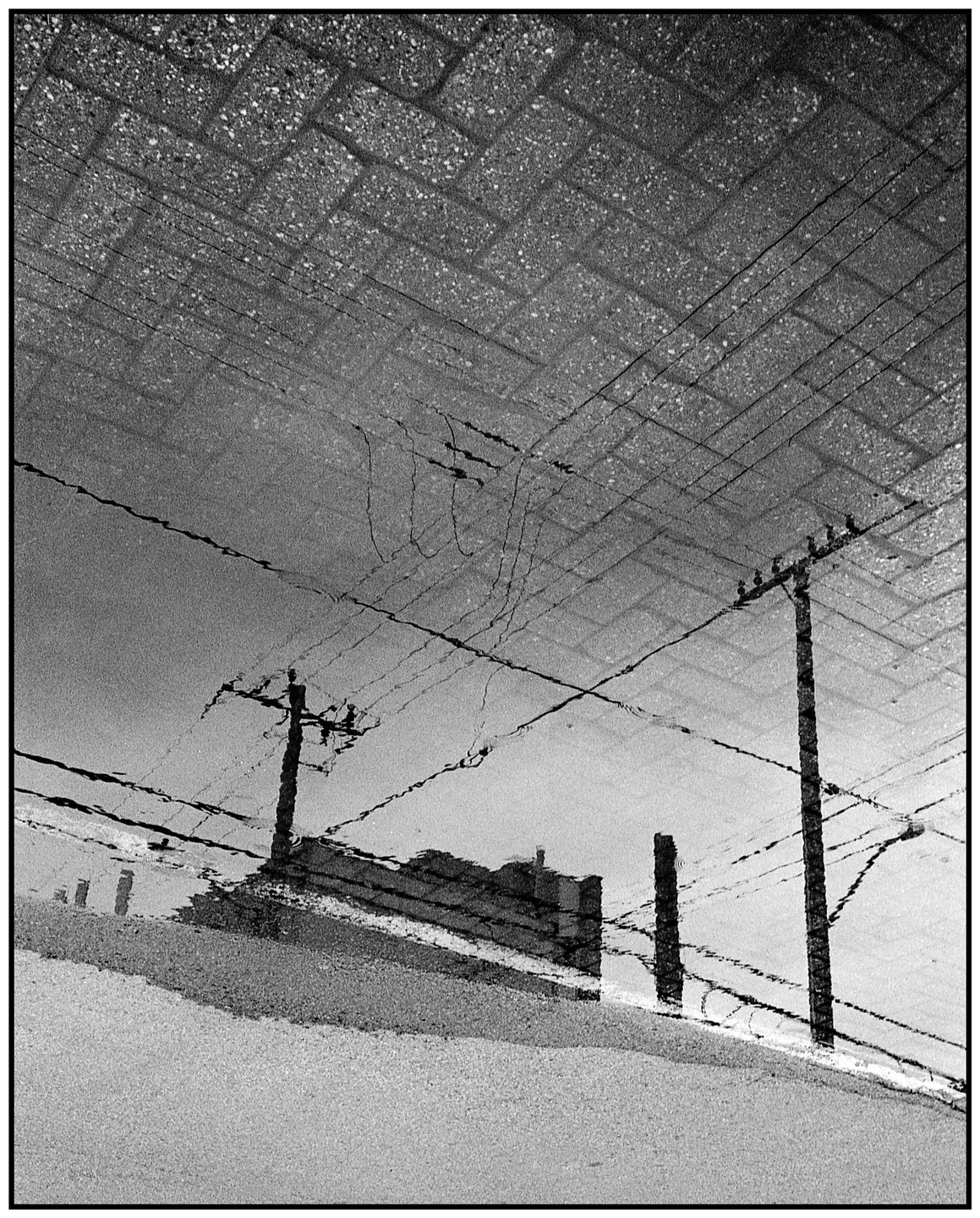 A reflection of power lines and a building is visible in a puddle on a brick surface.