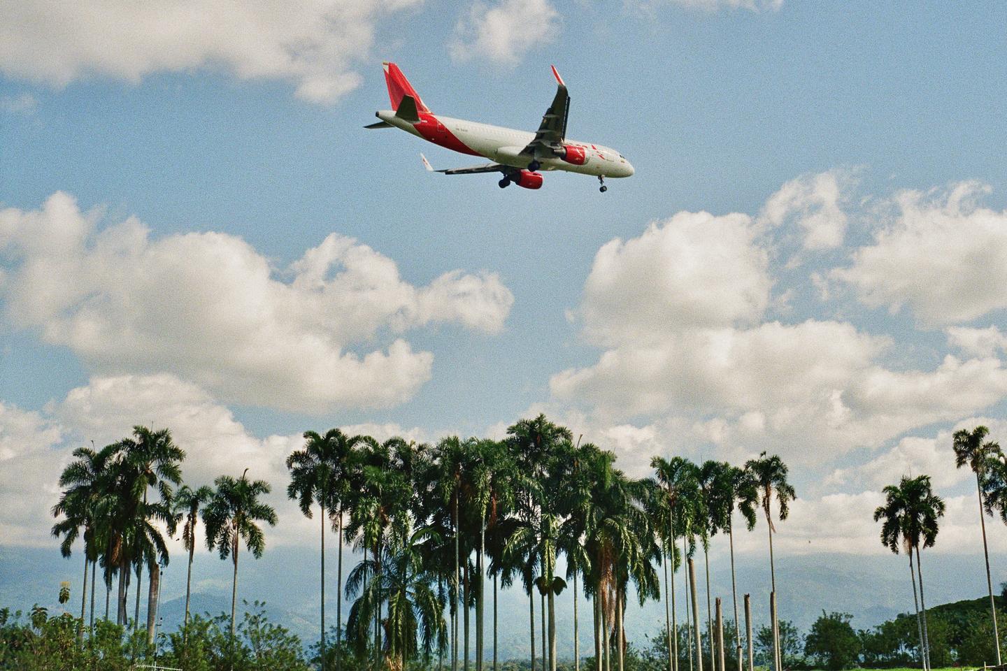 A red and white airplane flies over a line of palm trees with mountains in the distance under a cloudy sky.