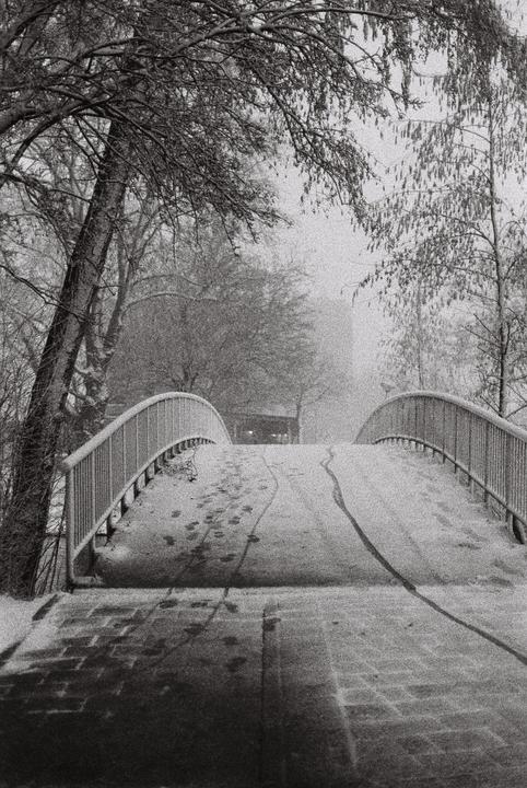 A snow-covered bridge with footprints and tire tracks leads into a hazy, tree-lined distance.